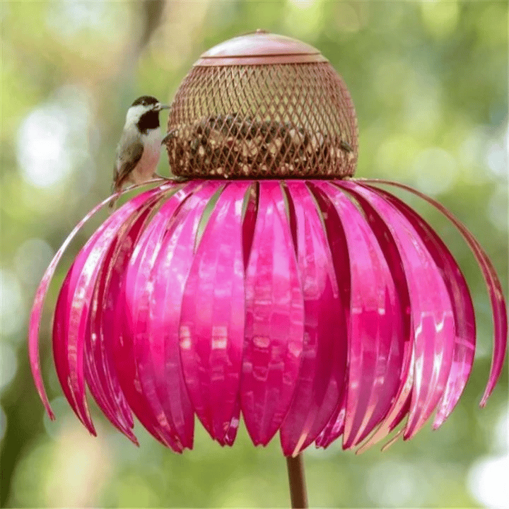 Vogelvoederhuis met Kegelbloemen voor een Kleurrijke Tuin
