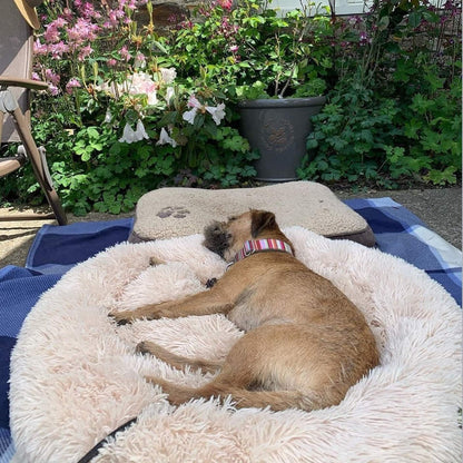 Honden Kussen Zacht voor Ontspannen Slaap