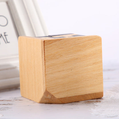 Houten Puzzel Brain Teaser Intelligentiespel voor Volwassenen