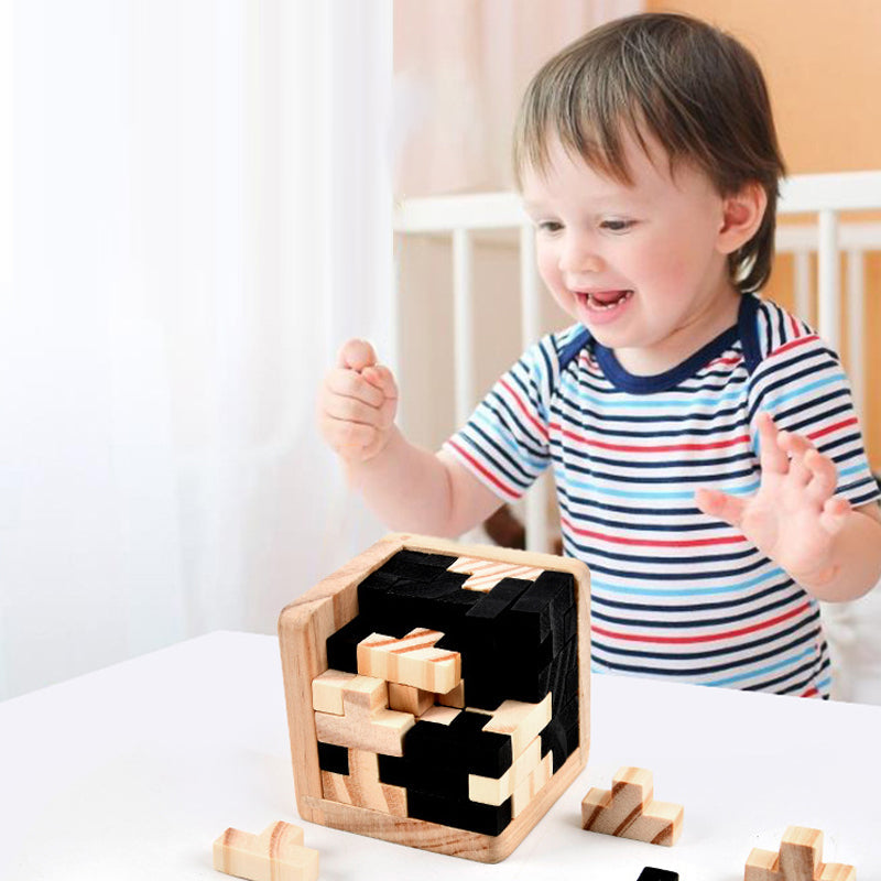 Houten Puzzel Brain Teaser Intelligentiespel voor Volwassenen