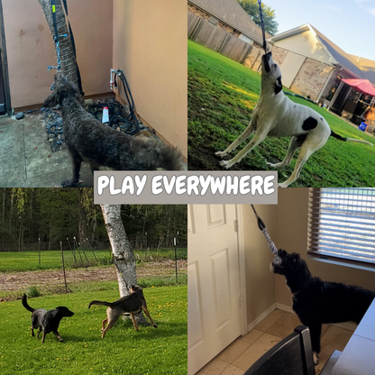 Springball voor Honden - Oneindig Springplezier