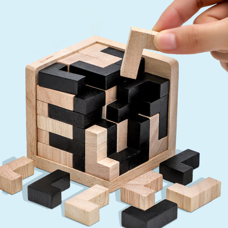 Houten Puzzel Brain Teaser Intelligentiespel voor Volwassenen