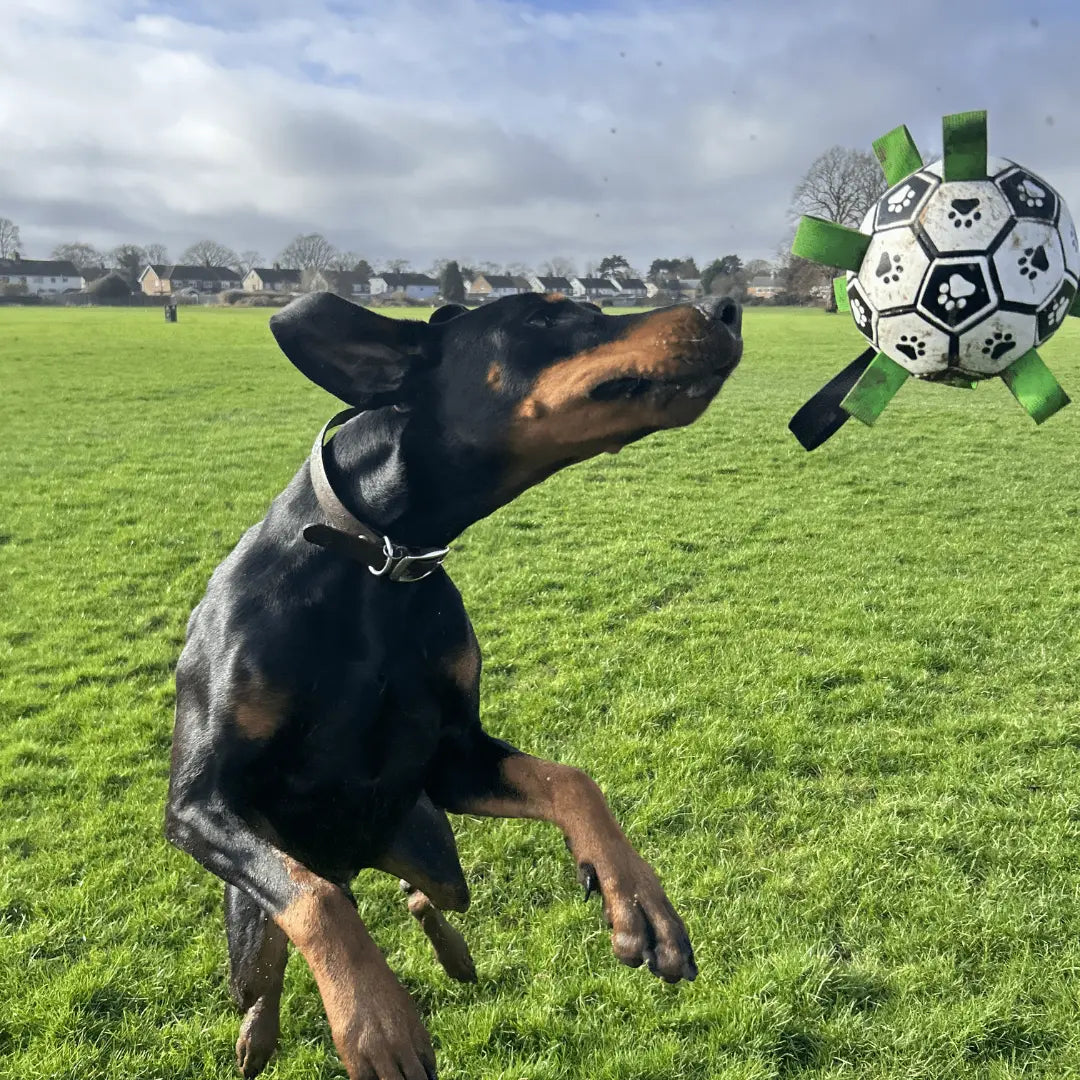 Luxe Honden Voetbal Duurzaam en Leuk