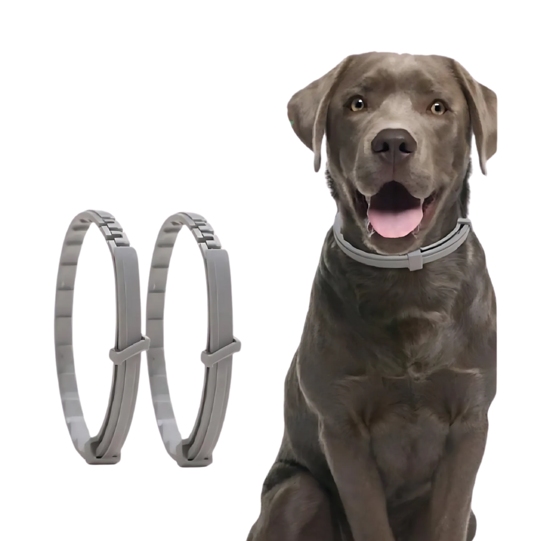 Verstelbare Halsband voor Hond en Kat Waterdicht en Chemievrij