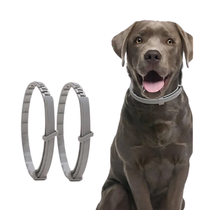Verstelbare Halsband voor Hond en Kat Waterdicht en Chemievrij