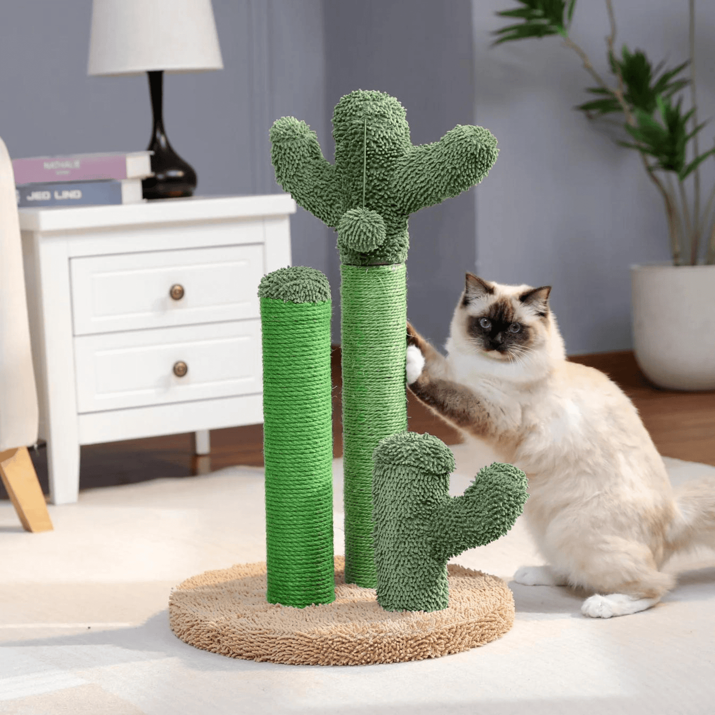 Cactus Pot voor Katten en Honden