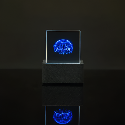 Interactieve CubeVision Klok met Aanpasbare GIF's