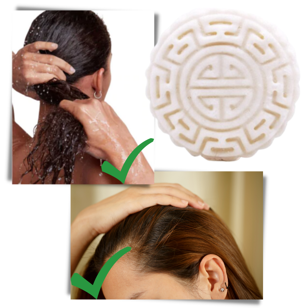 Vaste Shampoo en Conditioner Bar voor Droog Haar