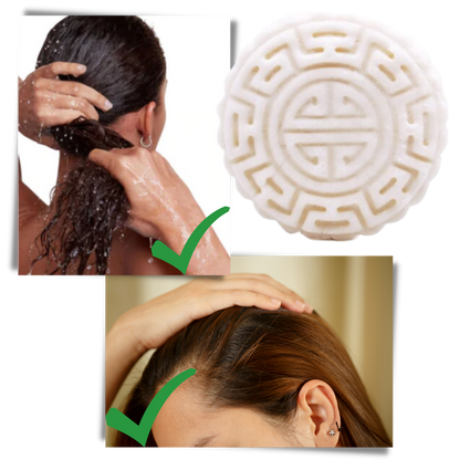 Vaste Shampoo en Conditioner Bar voor Droog Haar