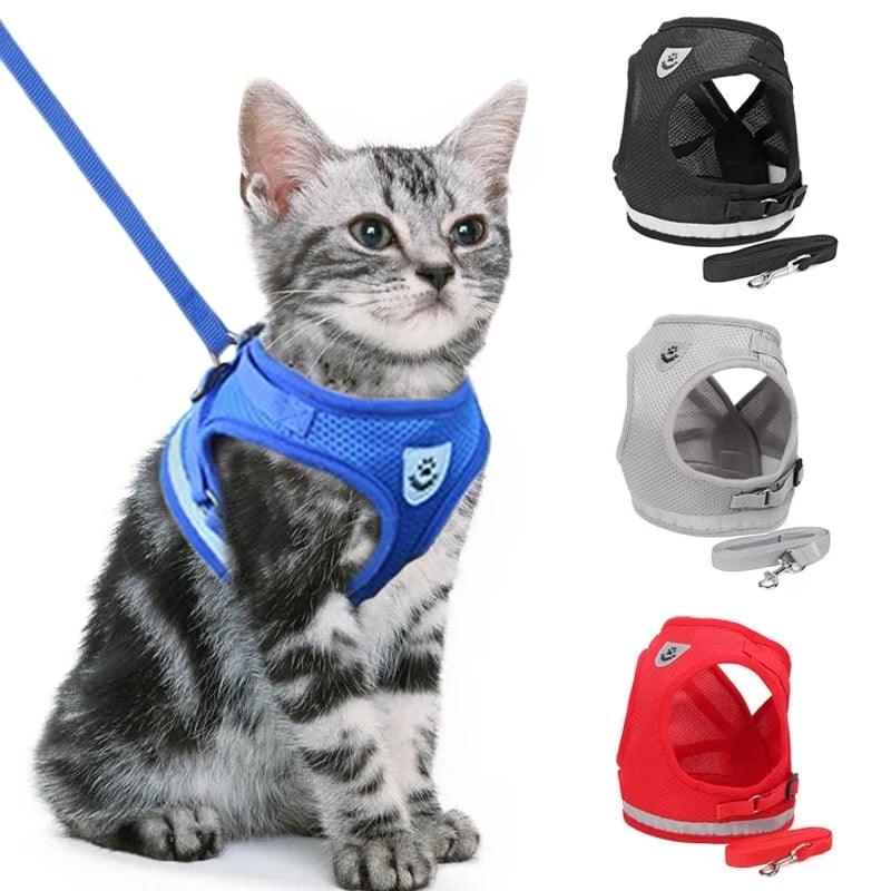 Reflecterende Kat Harnas Set met Leash en Verstelbare Bandjes voor Nachtelijke Wandelingen