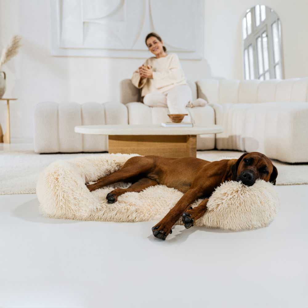 Orthopedisch Hondenbed Extra Ondersteuning voor Honden