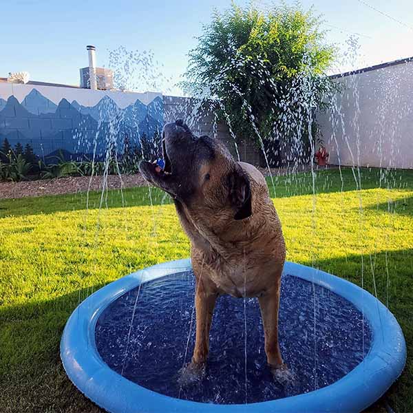 Honden Speelgoed en Accessoires voor Watersport
