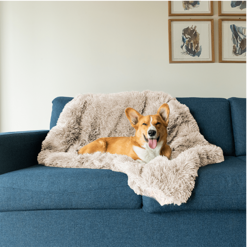 Zachte Hondendeken Luxe Plush voor Ontspanning en Slaap - Velinix