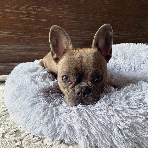 Zachte Fleece Beddeken voor Ontspanning