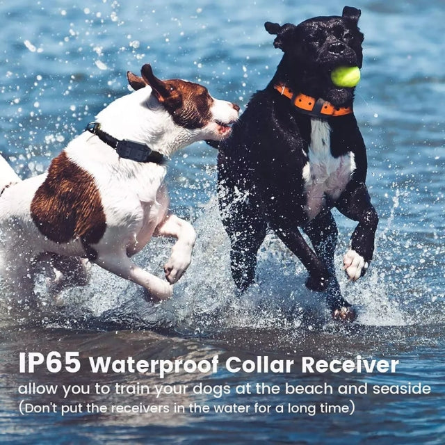 Honden E-halsband Elektrisch Trainen met Afstandsbediening