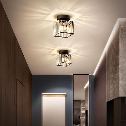 Zwart Plafondlamp Modern LED Flush Design