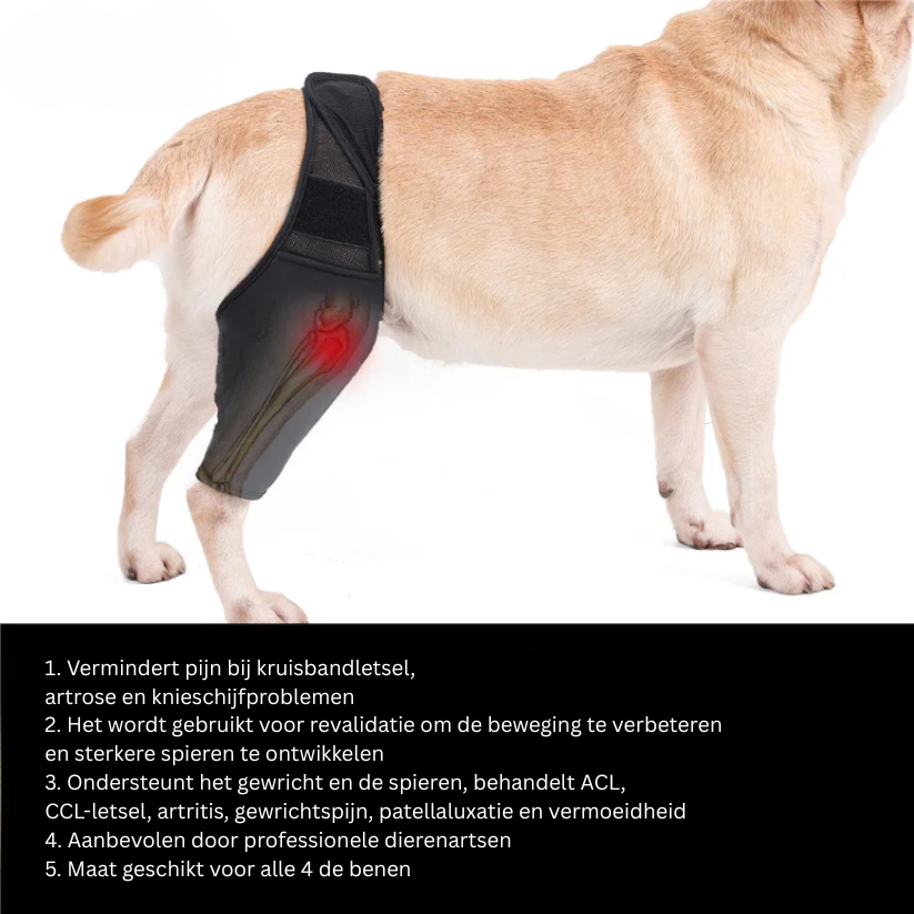 Kniebandage Honden - Ondersteuning bij Gewrichtspijn en Revalidatie