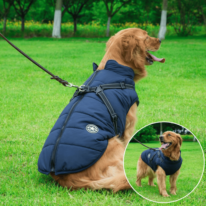 Hondjas met Harnas Waterdicht Warm voor Winter