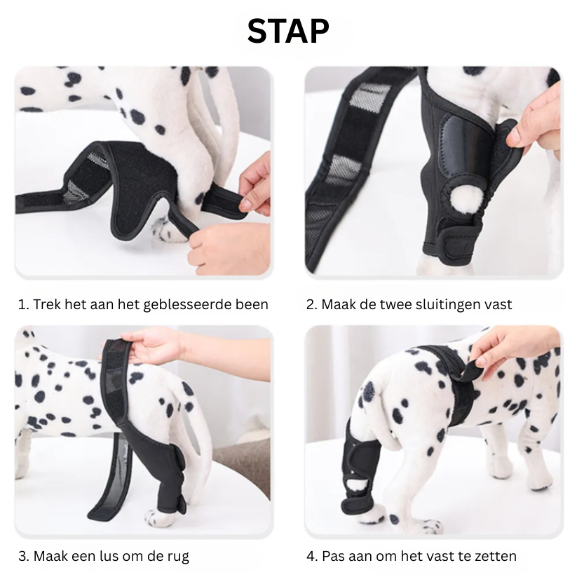 Kniebandage Honden - Ondersteuning bij Gewrichtspijn en Revalidatie