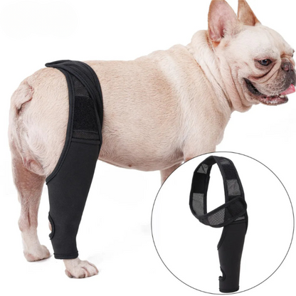 Kniebandage Honden - Ondersteuning bij Gewrichtspijn en Revalidatie - Velinix