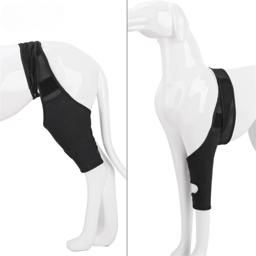 Kniebandage Honden - Ondersteuning bij Gewrichtspijn en Revalidatie