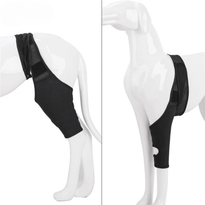 Kniebandage Honden - Ondersteuning bij Gewrichtspijn en Revalidatie