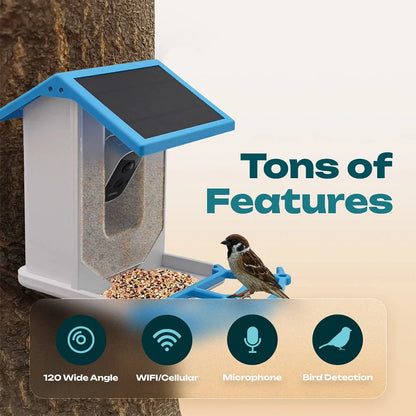 Slimme Vogelvoederplaats met Camera en Wi-Fi