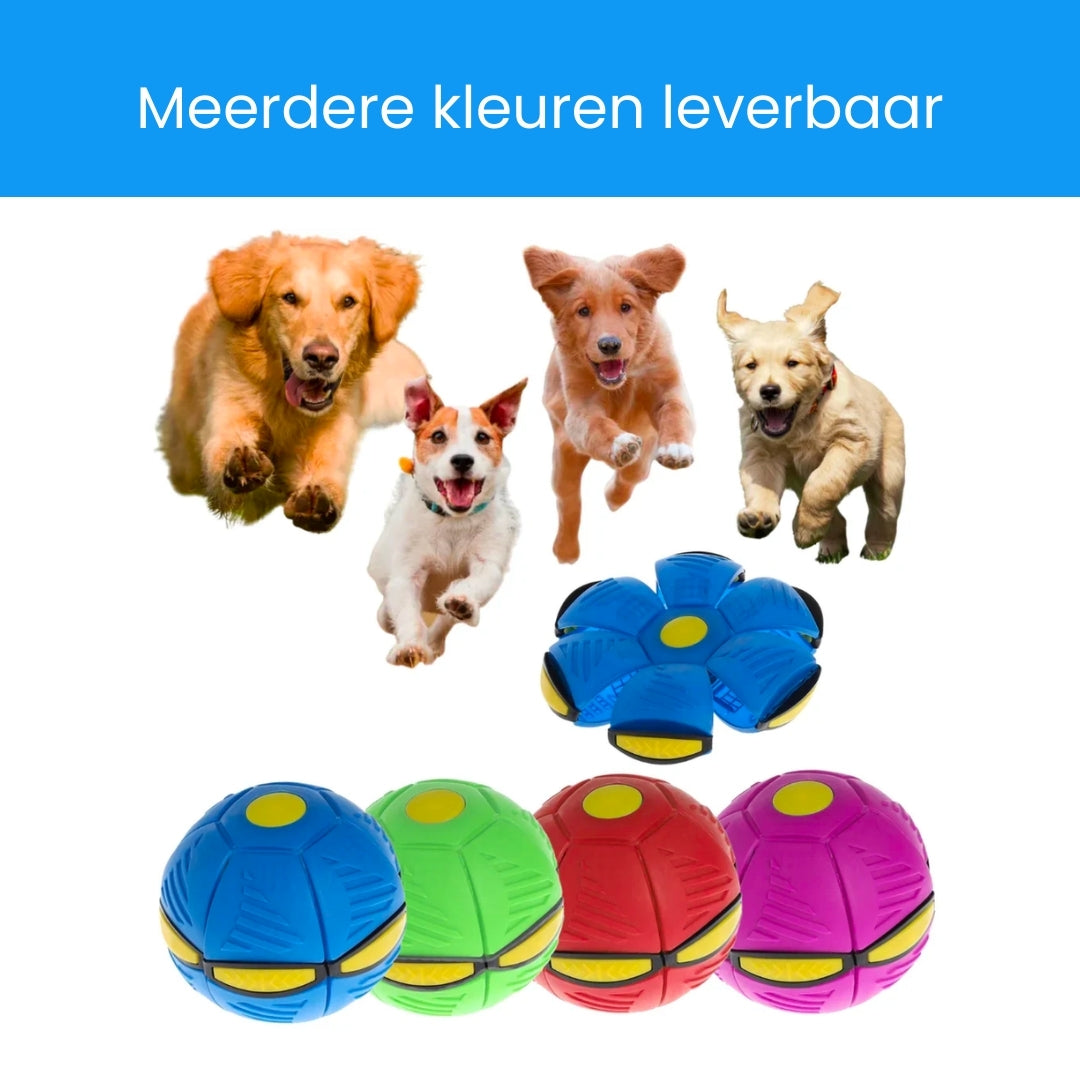 Interactieve Hondenbal voor Urenlang Speelplezier
