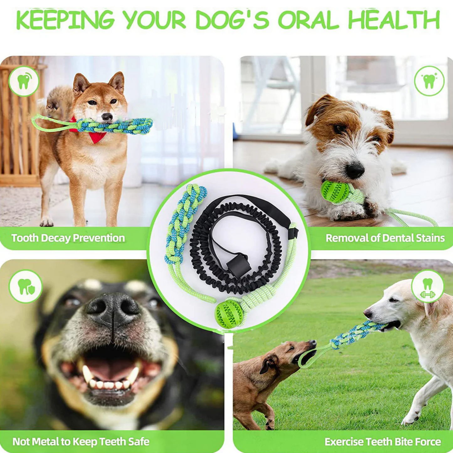 Springball voor Honden - Oneindig Springplezier
