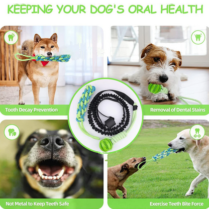 Springball voor Honden - Oneindig Springplezier