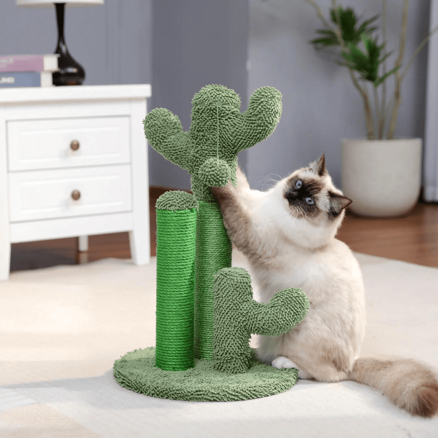 Cactus Pot voor Katten en Honden