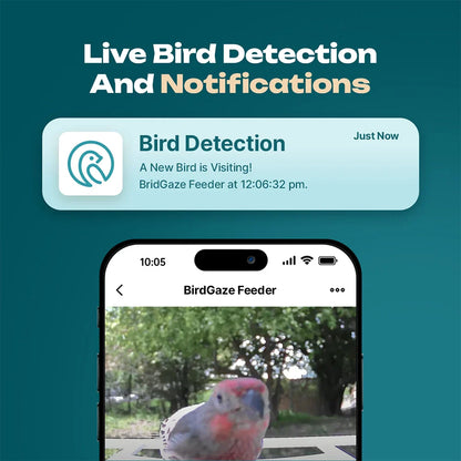 Slimme Vogelvoederplaats met Camera en Wi-Fi