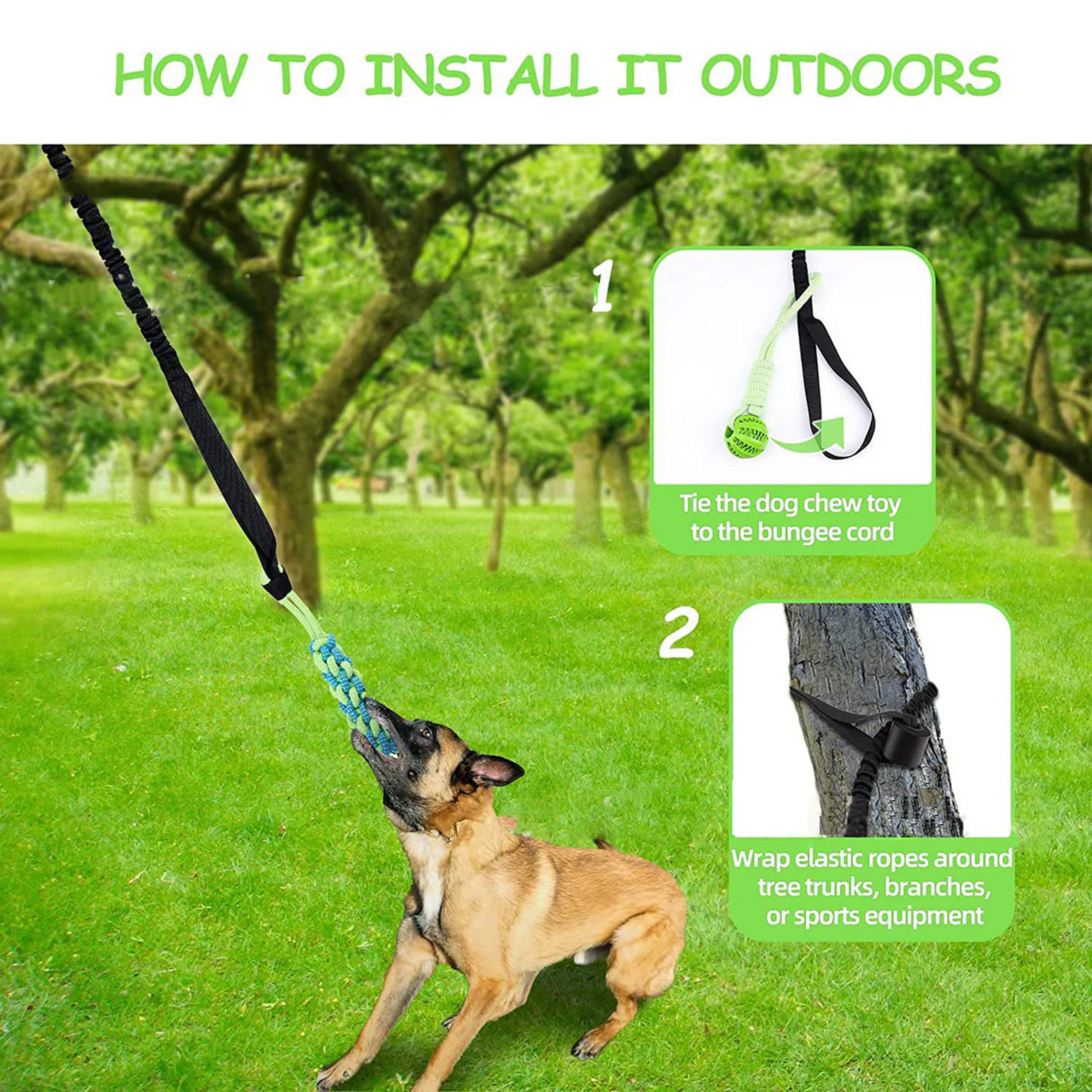 Springball voor Honden - Oneindig Springplezier