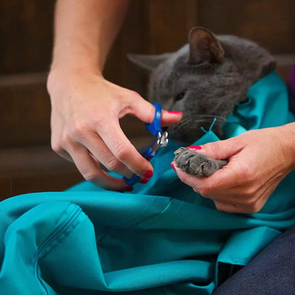 Kattenreistas en Verzorgingstas Set