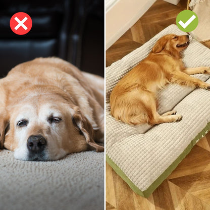 Orthopedisch Hondenbed Luxe Comfortabel Stevig