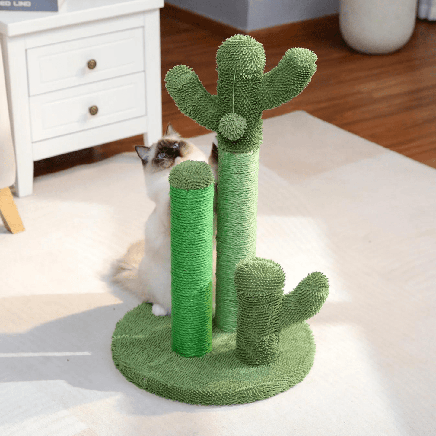 Cactus Pot voor Katten en Honden