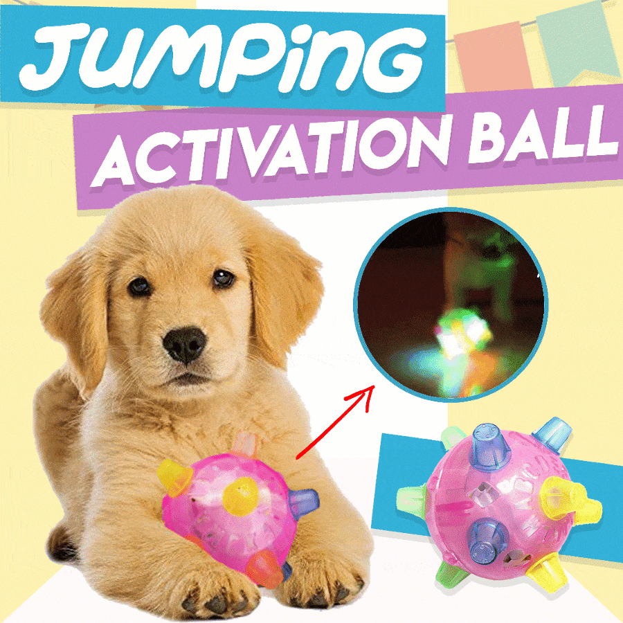 Interactieve Hondenspringbal BounceBuddy Leuk en Speels
