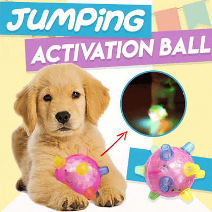 Interactieve Hondenspringbal BounceBuddy Leuk en Speels