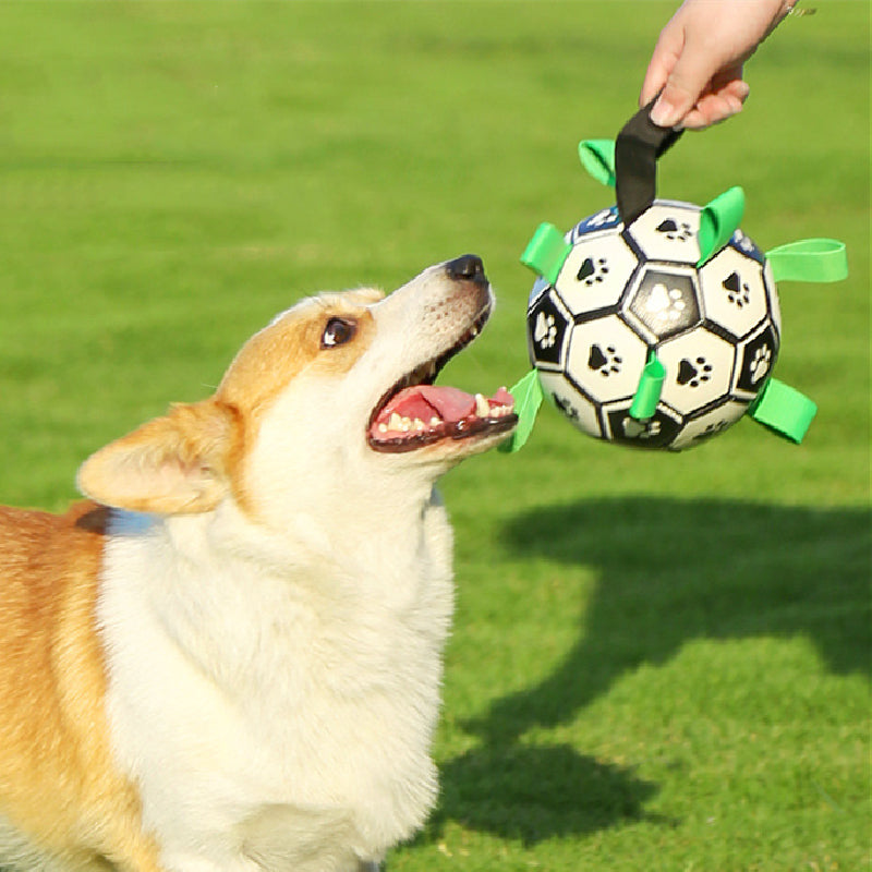 Luxe Honden Voetbal Duurzaam en Leuk