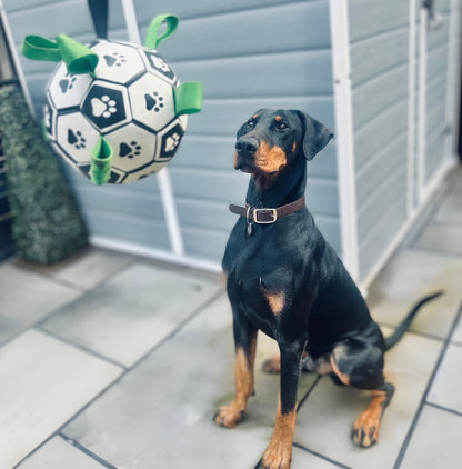 Luxe Honden Voetbal Duurzaam en Leuk