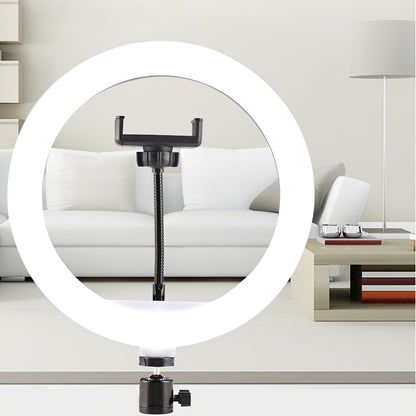 LED Ringlicht 10 Inch met Statief en Telefoonhouder voor Make-up en Vloggen