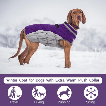 Waterdichte Hondenjas met Reflectie en Fleecevoering