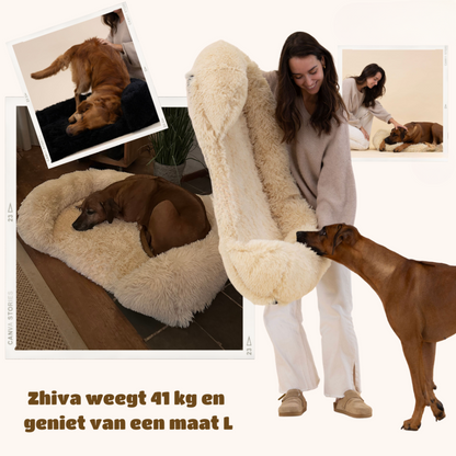 Orthopedisch Hondenbed Extra Ondersteuning voor Honden