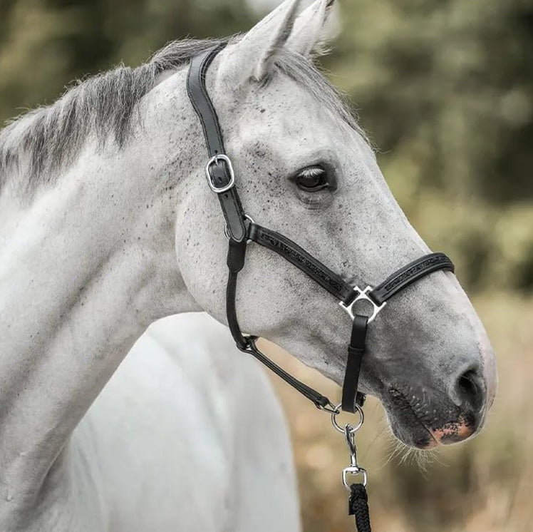 Paardenliefhebbers Adventskalender 2025 EquiTrend