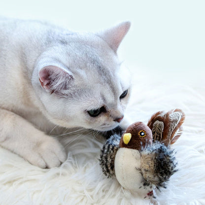 Katten Speelkameraad Veilig Interactief voor Kattenvermaak