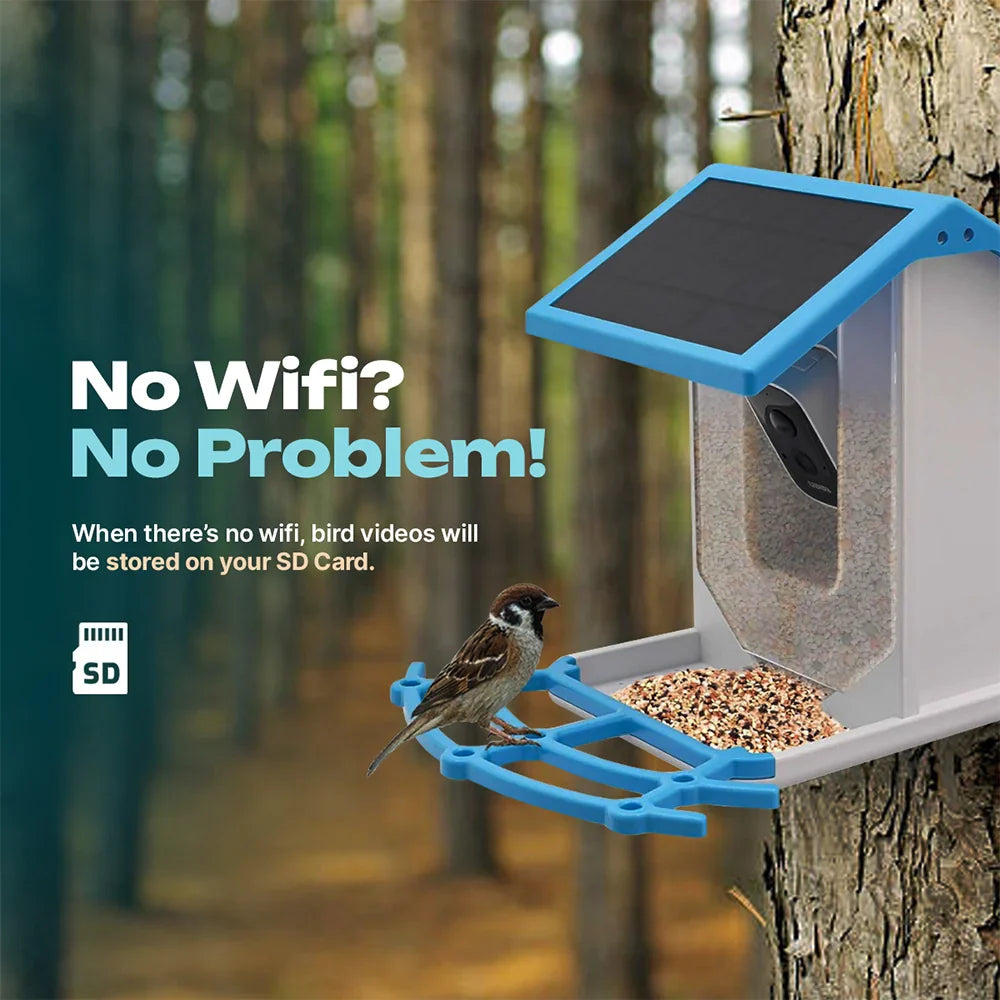 Slimme Vogelvoederplaats met Camera en Wi-Fi