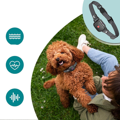 Hond Anti-Blafband Verstelbaar Humane Blafstopper