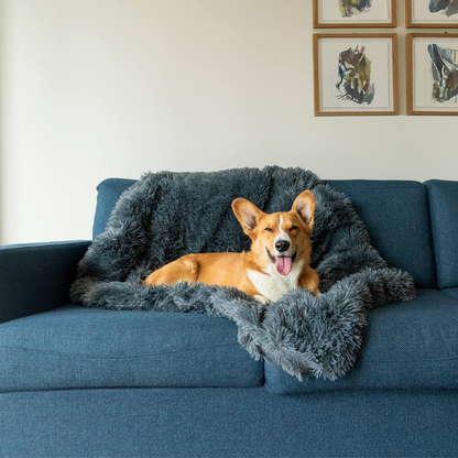 Zachte Hondendeken Luxe Plush voor Ontspanning en Slaap