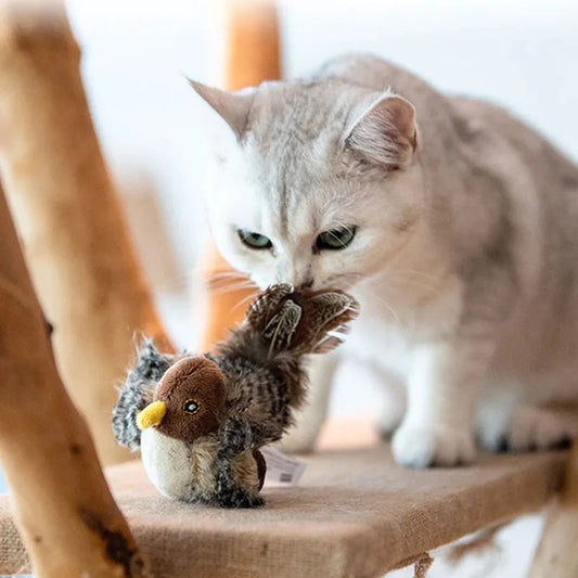 Katten Speelkameraad Veilig Interactief voor Kattenvermaak - Velinix