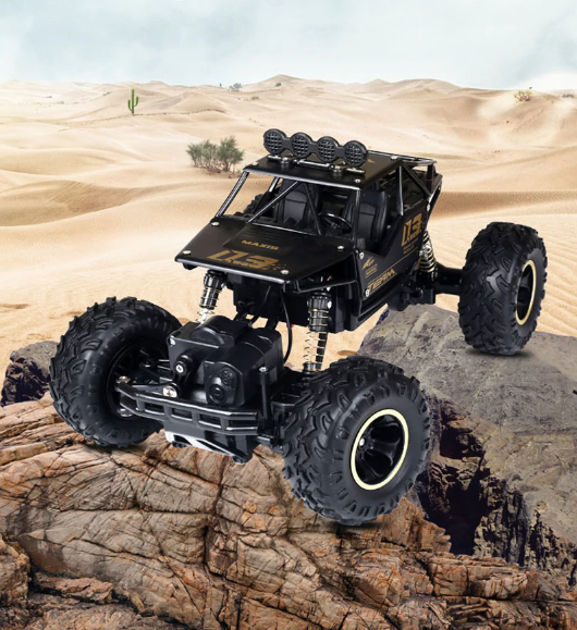 RC Auto 4x4 Offroad 2,4 GHz met Schokdemping en Lange Actieradius